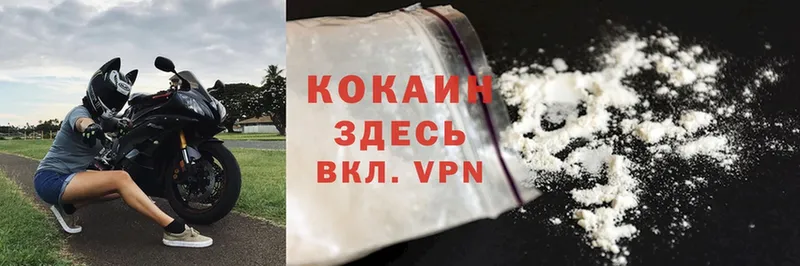 где продают наркотики  Великие Луки  Cocaine Эквадор 